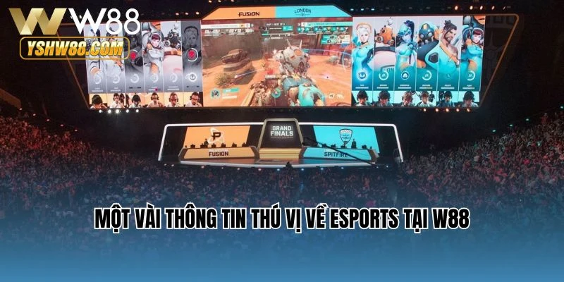 Một vài thông tin thú vị về Esports tại W88