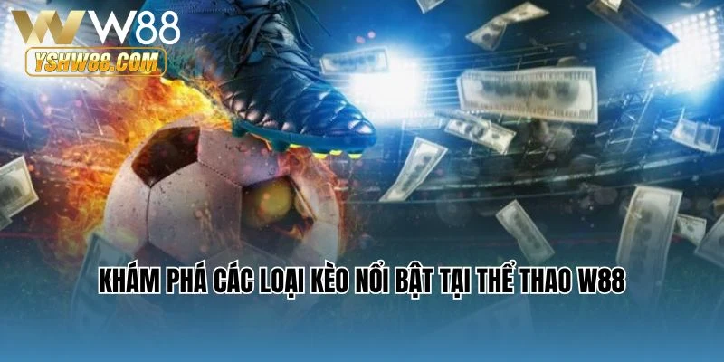Khám phá các loại kèo nổi bật tại thể thao W88